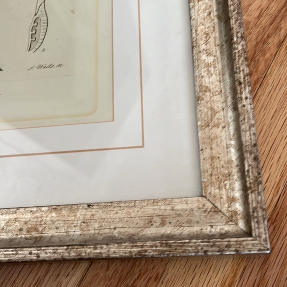 Framed Red botanical Floral Art Print - Picture 11 of 11